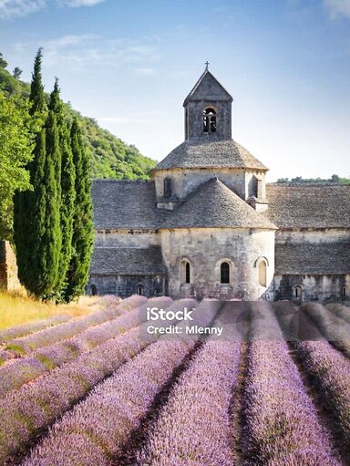 Test 501 kb, 1024x1536 px