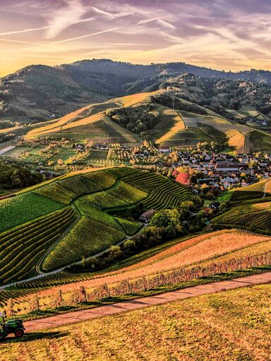 Image 1.76mb, 5472x3648 test compress